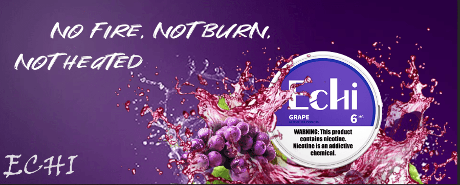 echi nicotine pouches