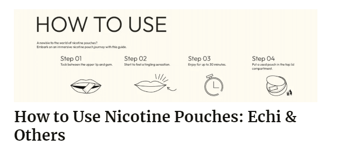 how to use nicotine pouches
